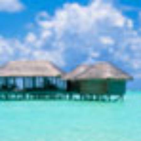 Shiraz Golden Restaurant